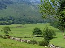 Llosa de Viango